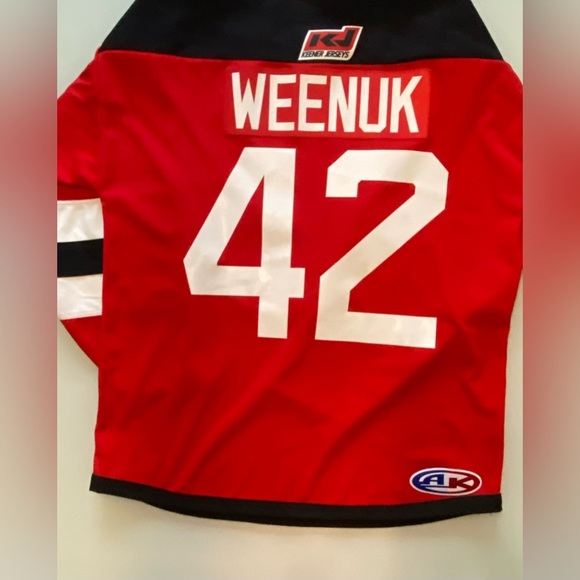 Custom “Weenuk #42” Devil Mascot Hockey Jersey – Adult Size L - Picture 7 of 9